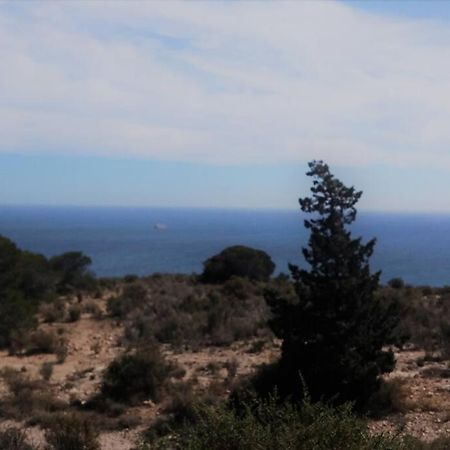 Modern Flat At Garbinet With Wifi Alicante Exterior foto